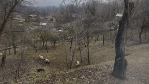 Teren de vanzare Telega Bustenari