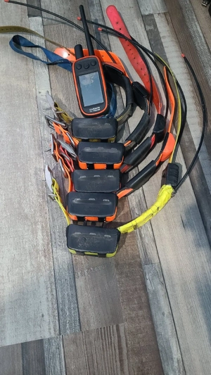 Zgărzi Garmin T5 și Tt10 - imagine 3