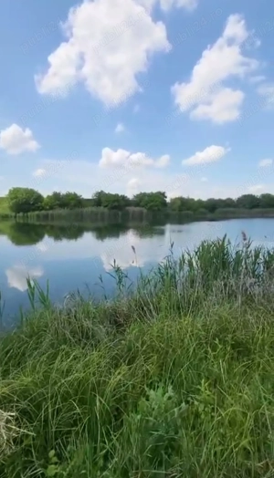 Teren la Buftea cu deschidere la lac - imagine 2