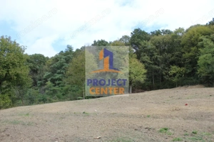 Casă și teren 5.000 mp, Stroești - imagine 13