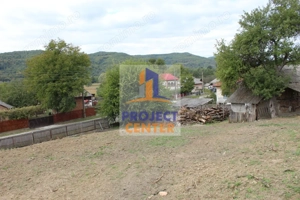 Casă și teren 5.000 mp, Stroești - imagine 14