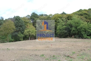 Casă și teren 5.000 mp, Stroești - imagine 11