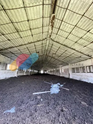 Teren Intravilan 16.000 Mp situat la DN–E81 Zalau-Cluj - imagine 13