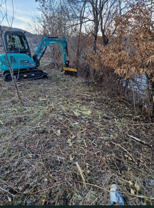 Excavar,defrisari,burghiu pamant - imagine 3
