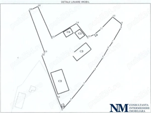 Ideal angrosiștilor din centrele comerciale,  Europa, Dragonul Rosu, Doraly 