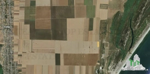 Teren extravilan 5000 mp Corbu, cu deschidere pe 3 laturi - imagine 6