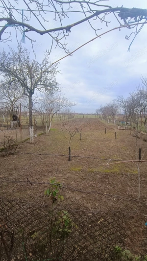 Vând casă în Sabolciu  - imagine 3