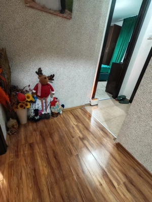 De vanzare! Apartament 2 camere Negru Voda Spitalul Militar, etaj 3, renovat - 75.900 euro - imagine 3