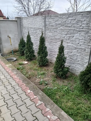 Casa în paulesti  - imagine 10