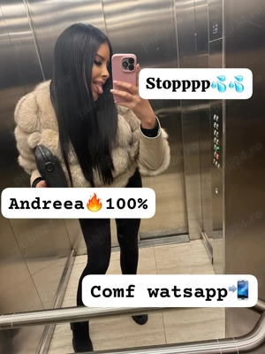 Andreea Brunetă Militari ( sec 6) 