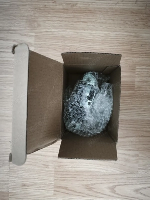 Broasca haion - imagine 2