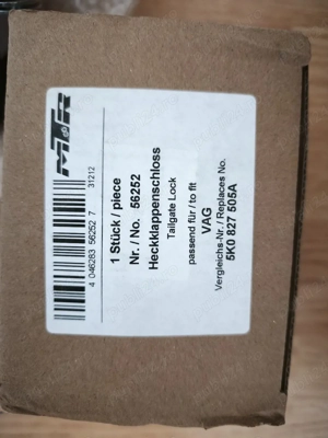 Broasca haion - imagine 4