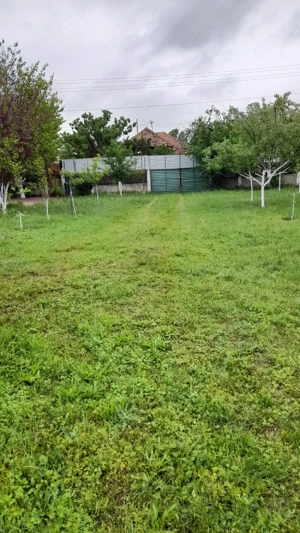 Vind teren 2500mp, la 8km.de Alexandria  - imagine 4