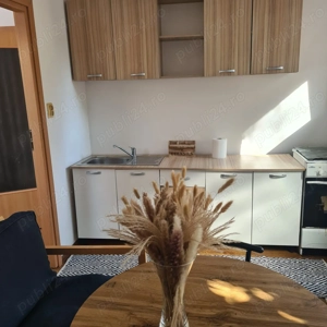 Lipovei - la casa - imagine 5