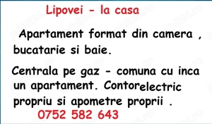 Lipovei - la casa