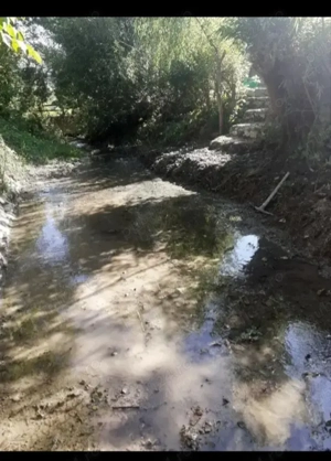 Casă de vânzare Piatra-Neamt  - imagine 9