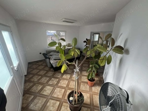 Închiriere spațiu comercial   110 mp   Vulcana Pandele - imagine 2