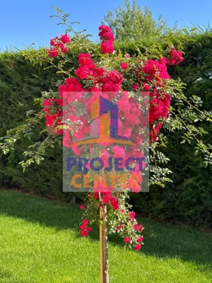 Vilă spectaculoasă de vânzare - Platou Găvana - imagine 12