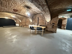 SAD - Spatiu comercial central de 160mp in Arad - ideal: crama, cafenea, magazin - imagine 11