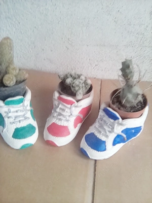 cactusi diverse soiuri  - imagine 2