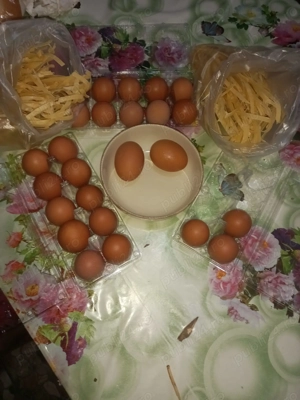 Oua de casa de la gaini crescute in ograda noastra.