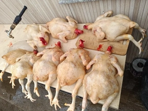 Vand pui de carne  - imagine 3