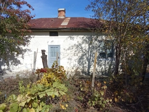 Casa si teren de vanzare, sat Ciorasti, jud. Vrancea - imagine 4