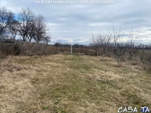 Casa situata în orasul Târgu-Carbunesti , Localitatea Floresteni - imagine 5