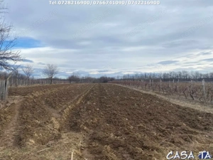 Casa situata în orasul Târgu-Carbunesti , Localitatea Floresteni - imagine 6