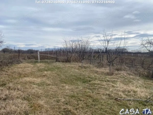 Casa situata în orasul Târgu-Carbunesti , Localitatea Floresteni - imagine 8