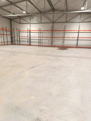 Vand închiriez Hala Cernica