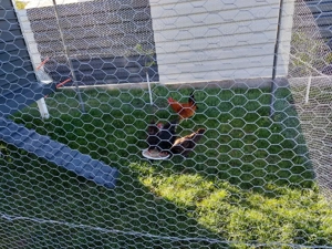 Cotet gaini  - imagine 5