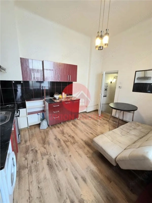 Casa 3 Camere Si Garsoniera in Vila, Zona Centrala - imagine 16