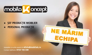 Proiectant Mobilier   Sector 6, București