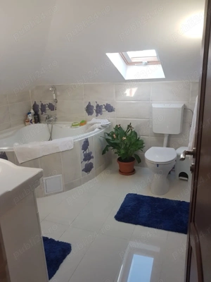 Spațiu comercial vânzare închiriat Călărași str București - imagine 7