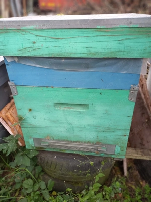 Vand lazi de albine 12 rame