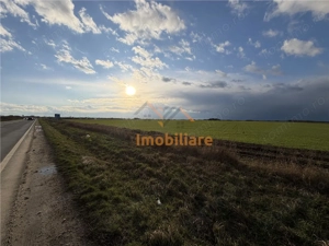 TEREN INTRAVILAN 24457 MP | 80 ML FRONT STRADAL | ORADEA | BIHOR - imagine 3