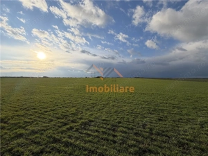 TEREN INTRAVILAN 24457 MP | 80 ML FRONT STRADAL | ORADEA | BIHOR - imagine 2