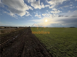 TEREN INTRAVILAN 24457 MP | 80 ML FRONT STRADAL | ORADEA | BIHOR - imagine 5