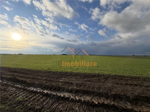 TEREN INTRAVILAN 24457 MP | 80 ML FRONT STRADAL | ORADEA | BIHOR - imagine 4
