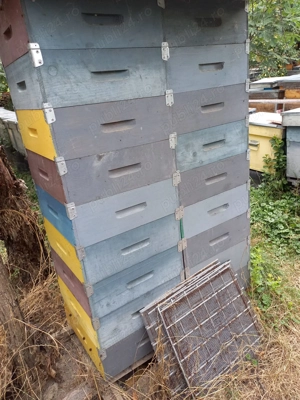 Vand 800 de magazii 1 2 de 12 rame. 