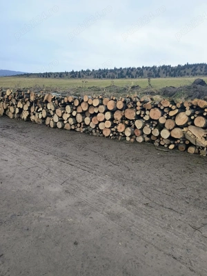 vand lemne de foc esenta tare carpen  - imagine 5