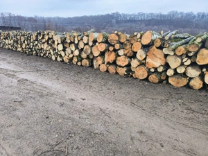 vand lemne de foc esenta tare carpen  - imagine 3