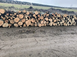 vand lemne de foc esenta tare carpen  - imagine 2