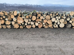 vand lemne de foc esenta tare carpen  - imagine 4