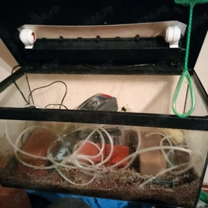 Acvariu Complet 60 Litri - imagine 3