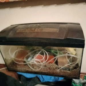 Acvariu Complet 60 Litri