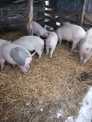 de vanzare - imagine 3