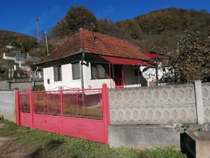 Casa de vanzare + teren si padure - imagine 2