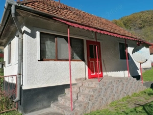 Casa de vanzare + teren si padure - imagine 6